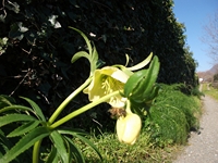 cantara piccole gole19022012 042